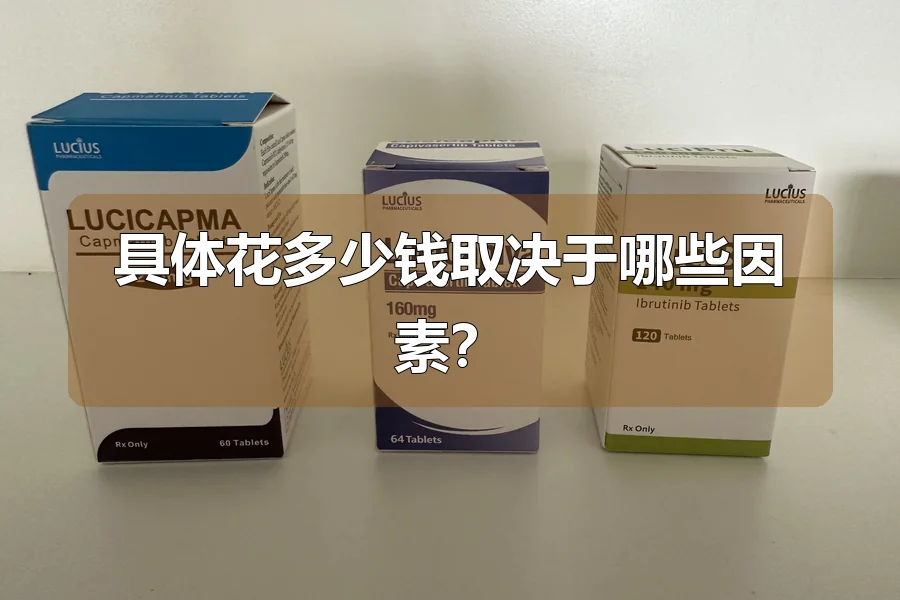具体花多少钱取决于哪些因素？
